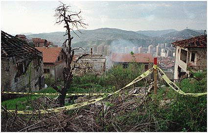 Online Retreat Week 12