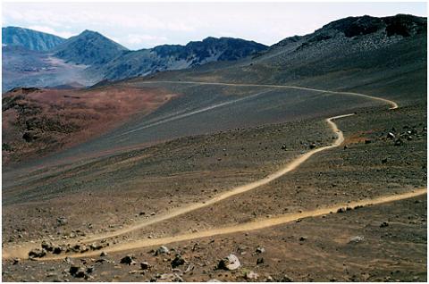 Online Retreat Week 20