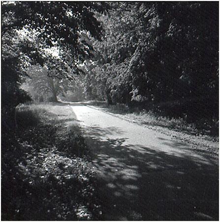 Online Retreat Week 34